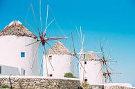 Mykonos Windmills by Patrycja Polechonska thumbnail