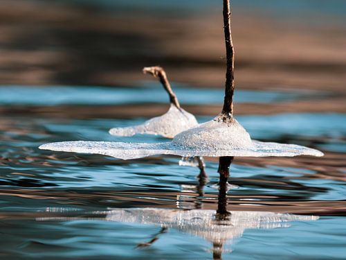 Drijvende ijskronen - de vergankelijke kunst van de natuur