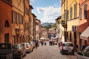 Urbino