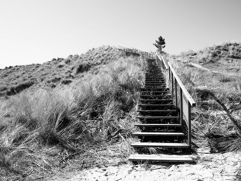 Duin met trap, Terschelling von Rinke Velds