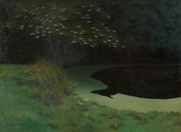 De vijver, Félix Vallotton