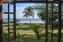 Blick aus dem Fenster