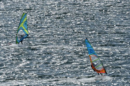 windsurfers brouwersdam zeeland 2
