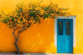 Blaue Tür mit Blumen von Poster Art Shop