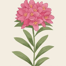 Rose des Alpes, illustration botanique dans un style minimaliste sur Eduard Broekhuijsen