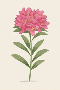 Alpine rose, botanical illustration in minimalist style by Eduard Broekhuijsen