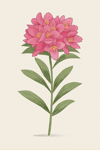 Alpenrose, botanische Illustration im minimalistischen Stil von Eduard Broekhuijsen
