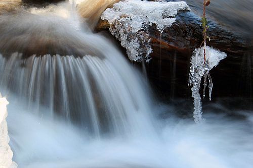 Frozen River