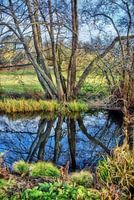 Spiegeling in Sonsbeek park