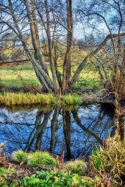 Spiegeling in Sonsbeek park van Jurjen Jan Snikkenburg