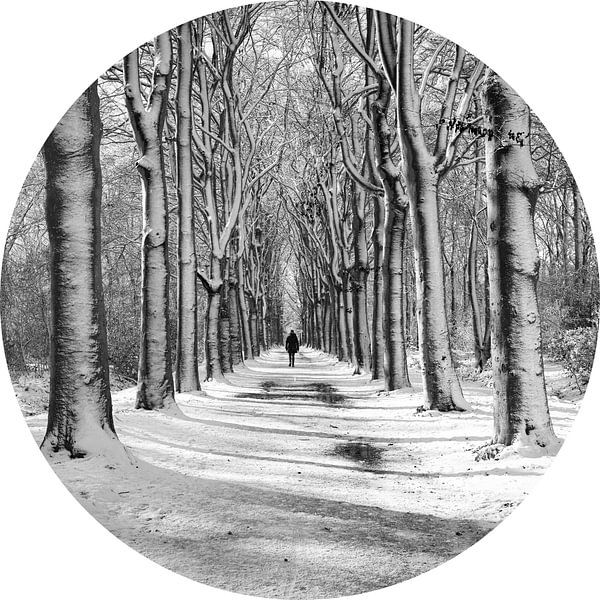 Round Nienoord Estate in snow in black and white by R Smallenbroek