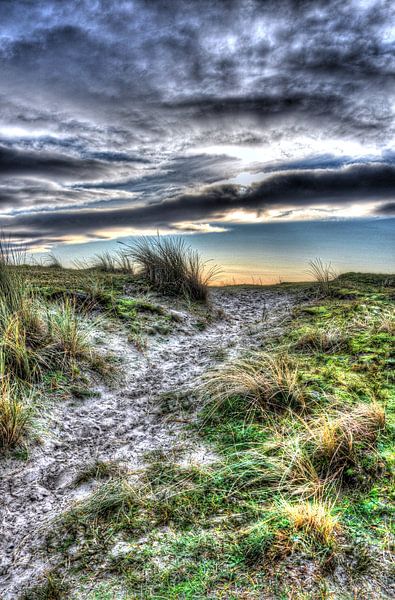 Dunes in Holland by Rodney Hooijman