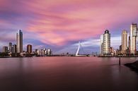 Rotterdam avec une ligne d'horizon rose par Wouter Degen Aperçu