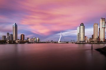 Rotterdam avec une ligne d'horizon rose