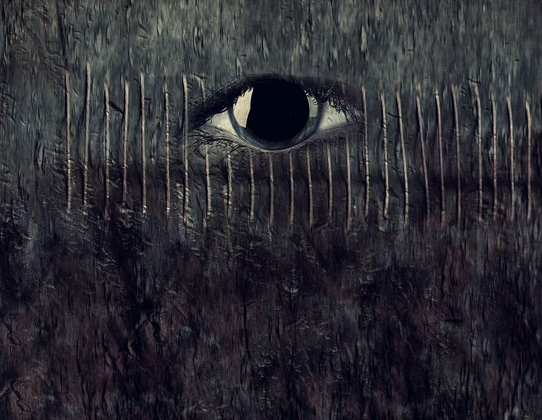 Der Blick by Heike Hultsch