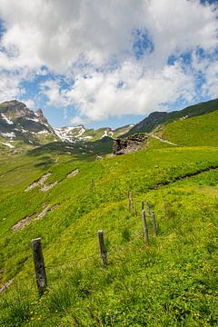 Sommer auf der Grindelwald First Wanderweg mit Schreckhorn und Eiger in den Berner Alpen in der Schw