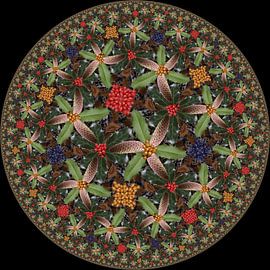 Leaves and Berries by Tis Veugen