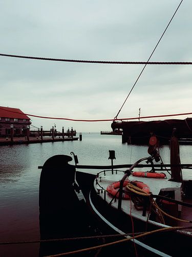 Uitzicht in Texel op zee 