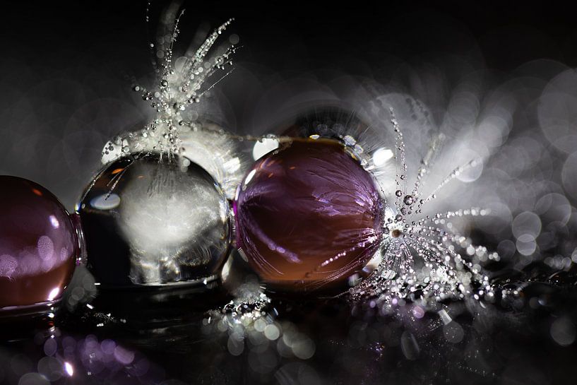 Water beads with dandelion fluff 3 by Patricia van Kuik