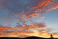Afterglow, sky with altocumulus clouds