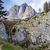 Waterval en uitzicht op bergen van Wilder Kaiser in Oostenrijk van Jessica Lokker