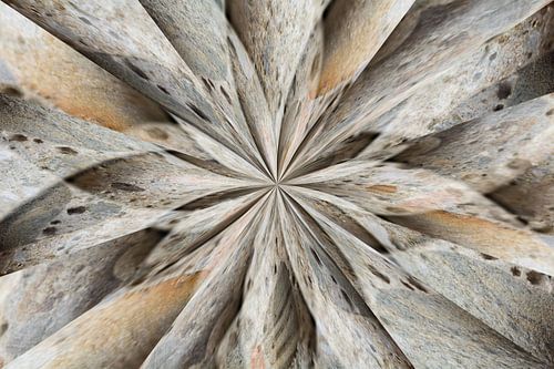 Stervorm en schuine lijnen van beton met kiezels