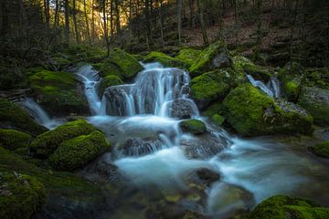 WALDBACH von Simon Schuhmacher