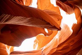 LOWER & UPPER ANTELOPE CANYON, AN ABSOLUTE MUST by Ton Tolboom