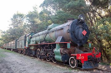 V Class 1213, V Class 2-8-2 Mikado type Steam Locomotive by Richard Wareham