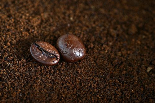 Koffiebonen