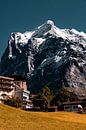 Grindelwald in autumn by Hidde Hageman thumbnail