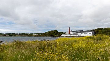 Lagavulin op Islay in Schotland