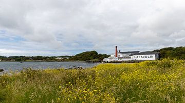 Lagavulin on Islay