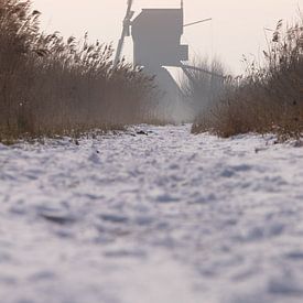 Windmolen in de sneeuw van Dave van Dokkum