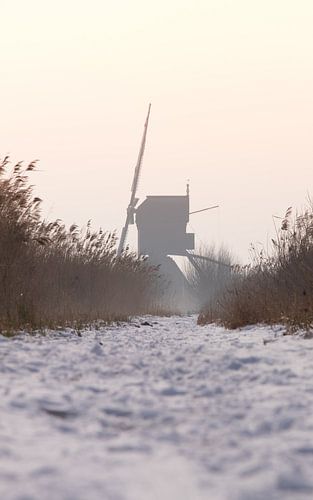 Windmolen in de sneeuw