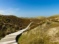 In the sand dunes near List, Sylt