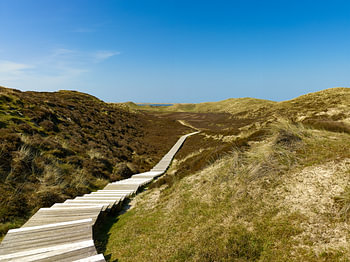 In the sand dunes near List, Sylt