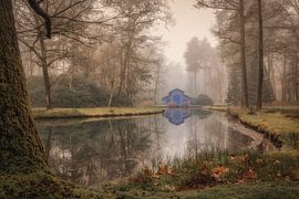 The blue boathouse in the forest by Moetwil en van Dijk - Fotografie