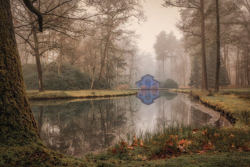 Het blauwe boothuis in het bos