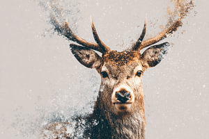 Hirsch in abstrakter Schnee-Explosion mit verträumten Winter-Effekt