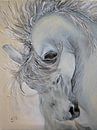 Courage by Sasha Butter-van Grootveld thumbnail