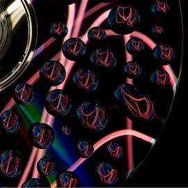 Lines von jeroen kreijt