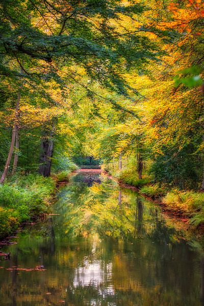 Herfst langs een sloot van Ferdinand Mul