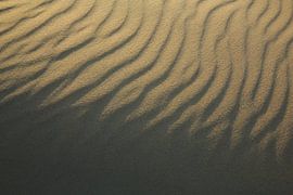 Lijnen in het zand van Ronald Pol