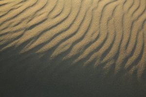 Lignes dans le sable