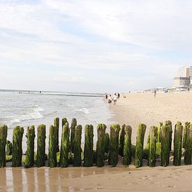 Holzbuhne am Strand bei Westerland auf Sylt von Martin Flechsig