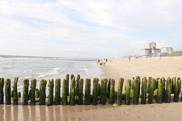 Wooden groyne on the beach near Westerland on Sylt