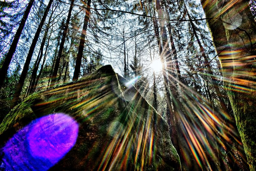 The sun kisses the forest by Roith Fotografie