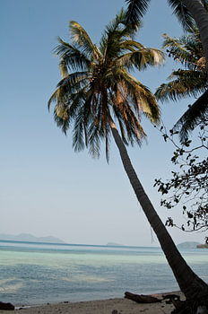Tropisches Bild auf Insel in Thailand