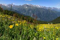 South Tyrolean mountain panorama by Martina Weidner thumbnail